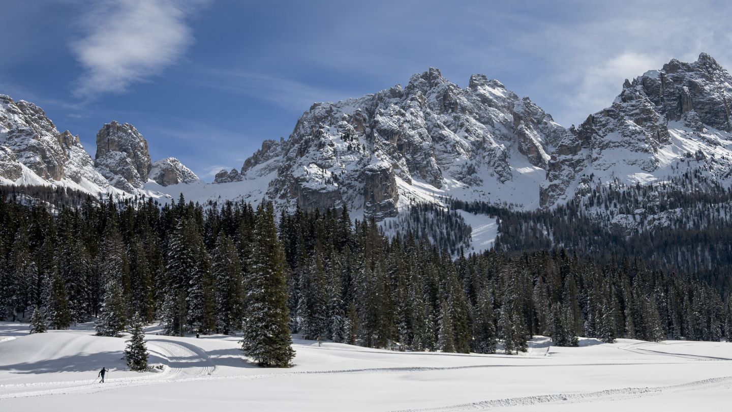 Vista de un bosque en los montes Dolomitas en enero pasado. (EFE/Christian Bruna)