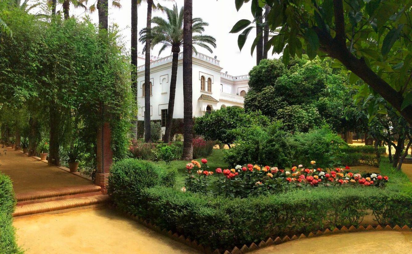 Imagen del palmeral de Villa Luisa en Sevilla.