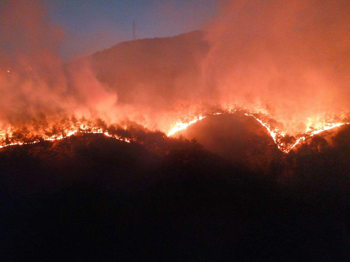 Foto: Incendio en Yeongdeok, Corea del Sur. (EFE/EPA/Yonhap)