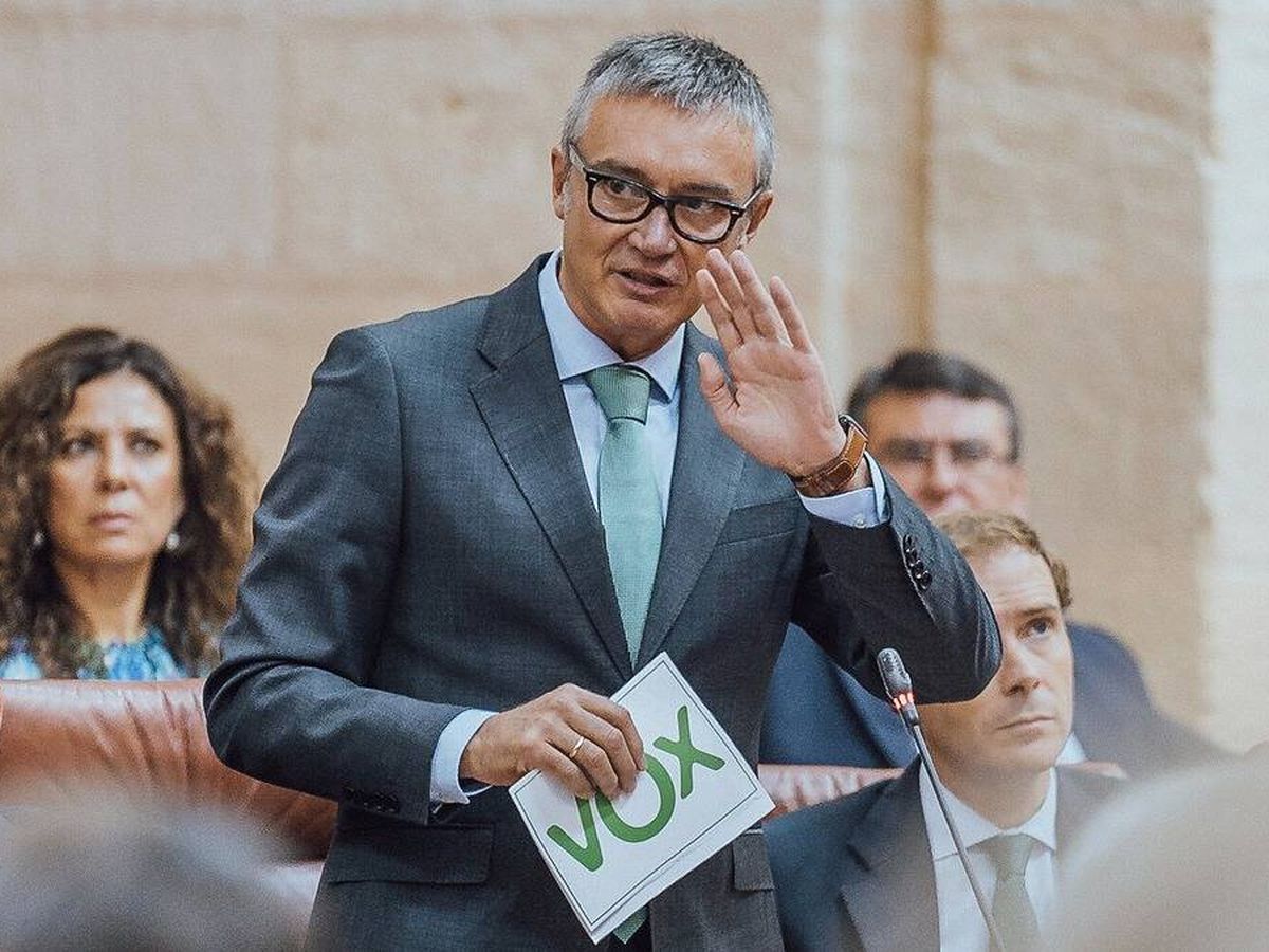 Foto: El portavoz de Vox, Manuel Gavira, en un Pleno del Parlamento andaluz. (Cedida)