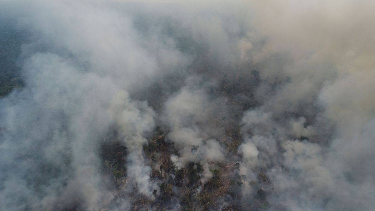 Récord en el Amazonas: el agosto de 2020, con más incendios activos desde 2010
