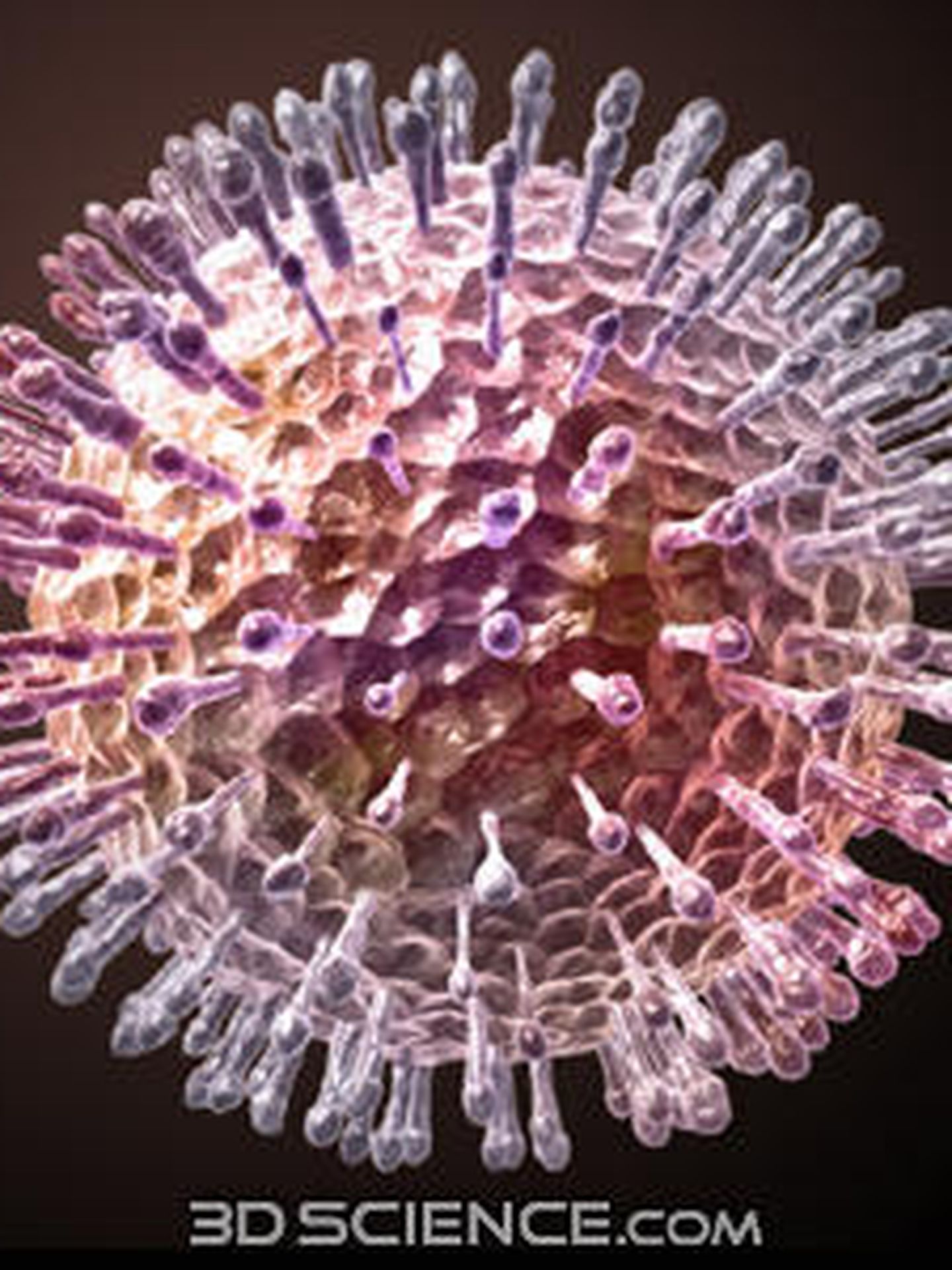 Así es el virus del herpes.