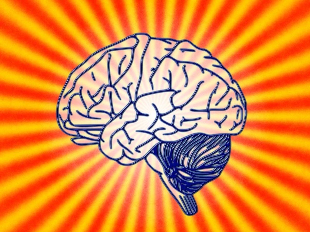 Foto: Ilustración de un cerebro humano. Foto: Pixabay