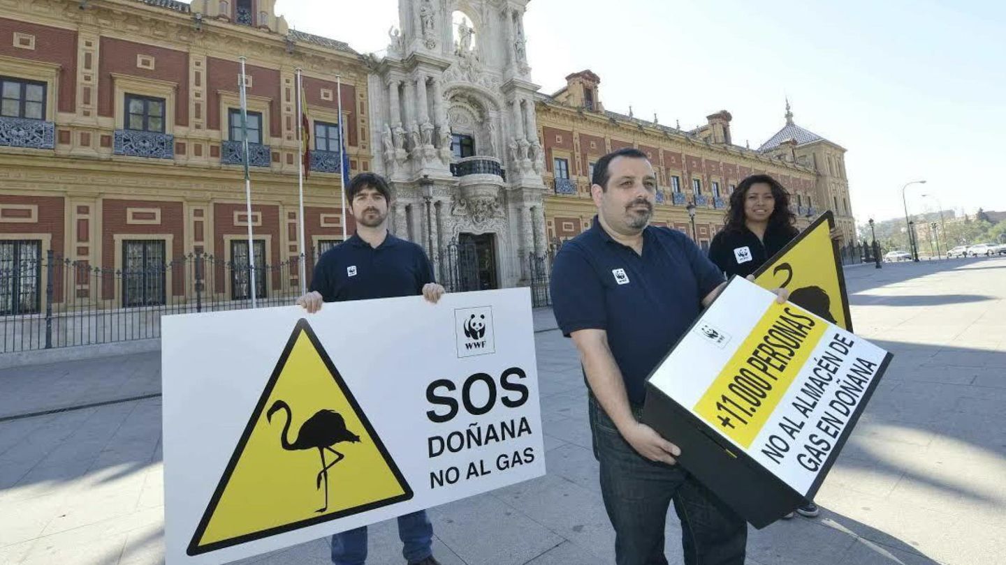 WWF en 2015 rechazó la reinyección de gas natural en pozos de los que fue extraído hace décadas y que ahora están dentro de Doñana. (EFE)
