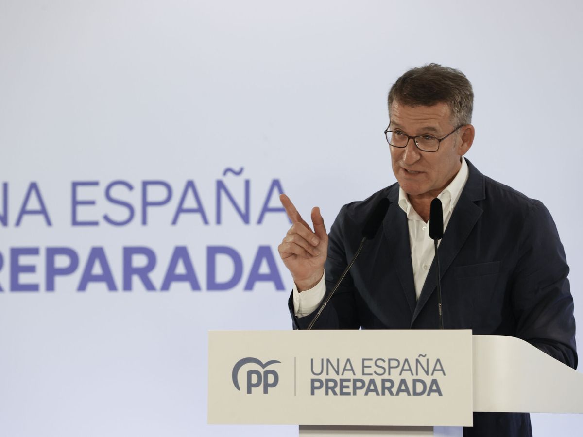 Foto: El presidente del PP, Alberto Núñez Feijóo. (EFE/Juan Carlos Cárdenas)
