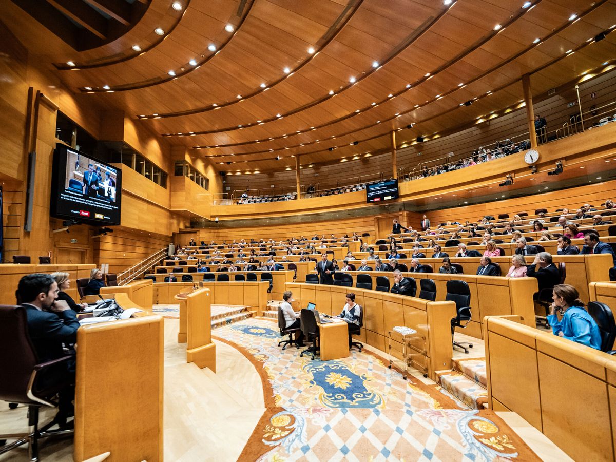 Foto: Imagen de la vista general del Senado. (Diego Radamés/Europa Press)