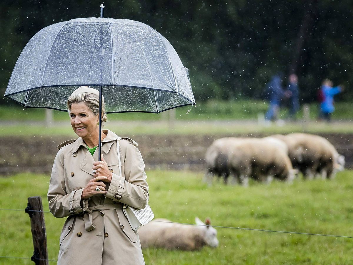 Foto: Máxima de Holanda, entre ovejas. (CP)