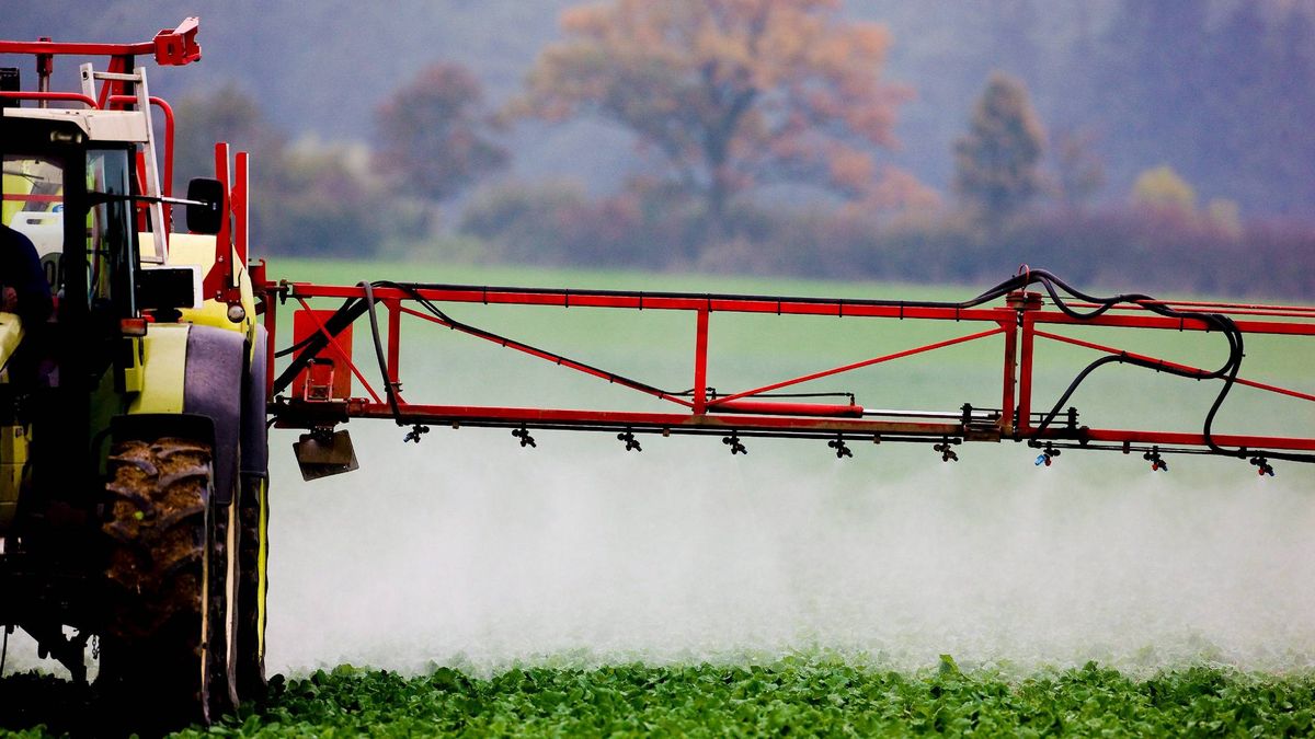 Europol incauta 122 toneladas de pesticidas ilegales en España y otros países europeos