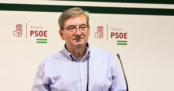 Foto: El secretario general del PSOE en Almería, Fernando Martínez. (PSOE Almería)