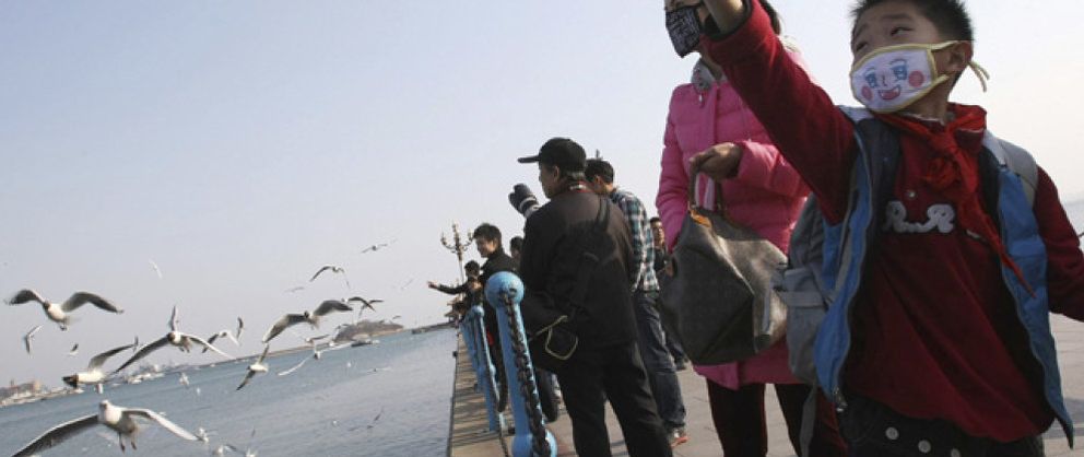 Foto: Los casos de la nueva gripe aviar se cuentan ya por decenas en China