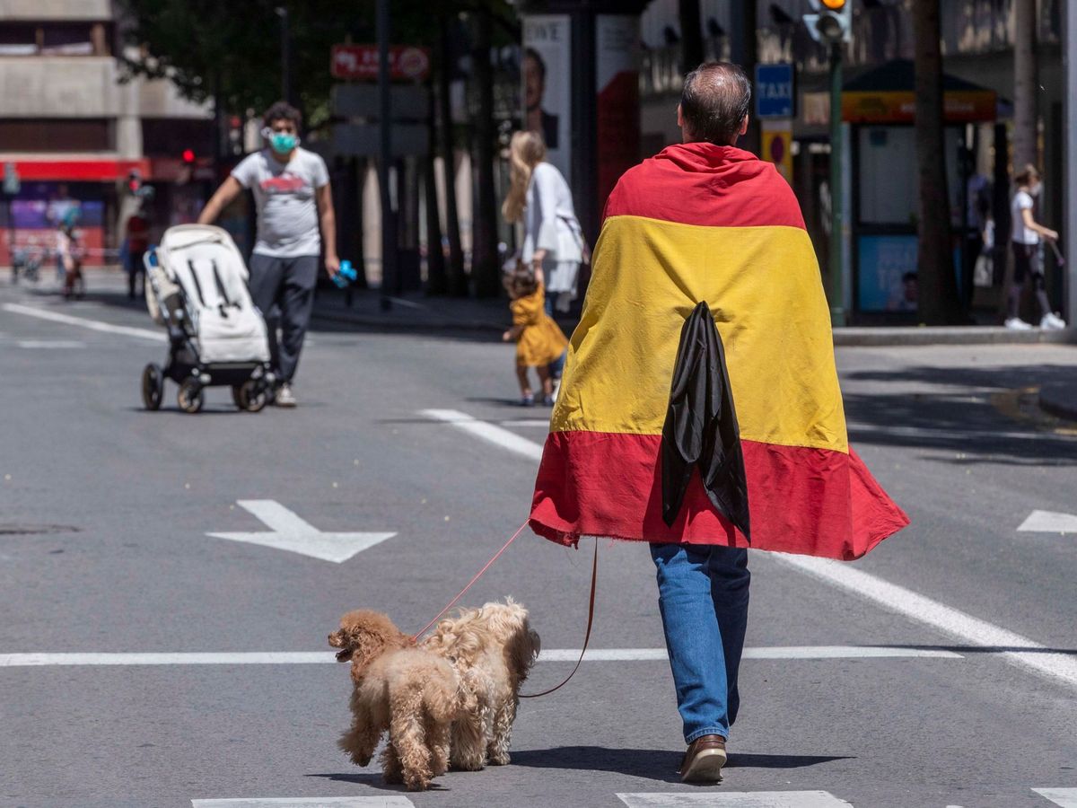 Foto: Un hombre pasea con un perro enano y una bandera de España. (EFE)