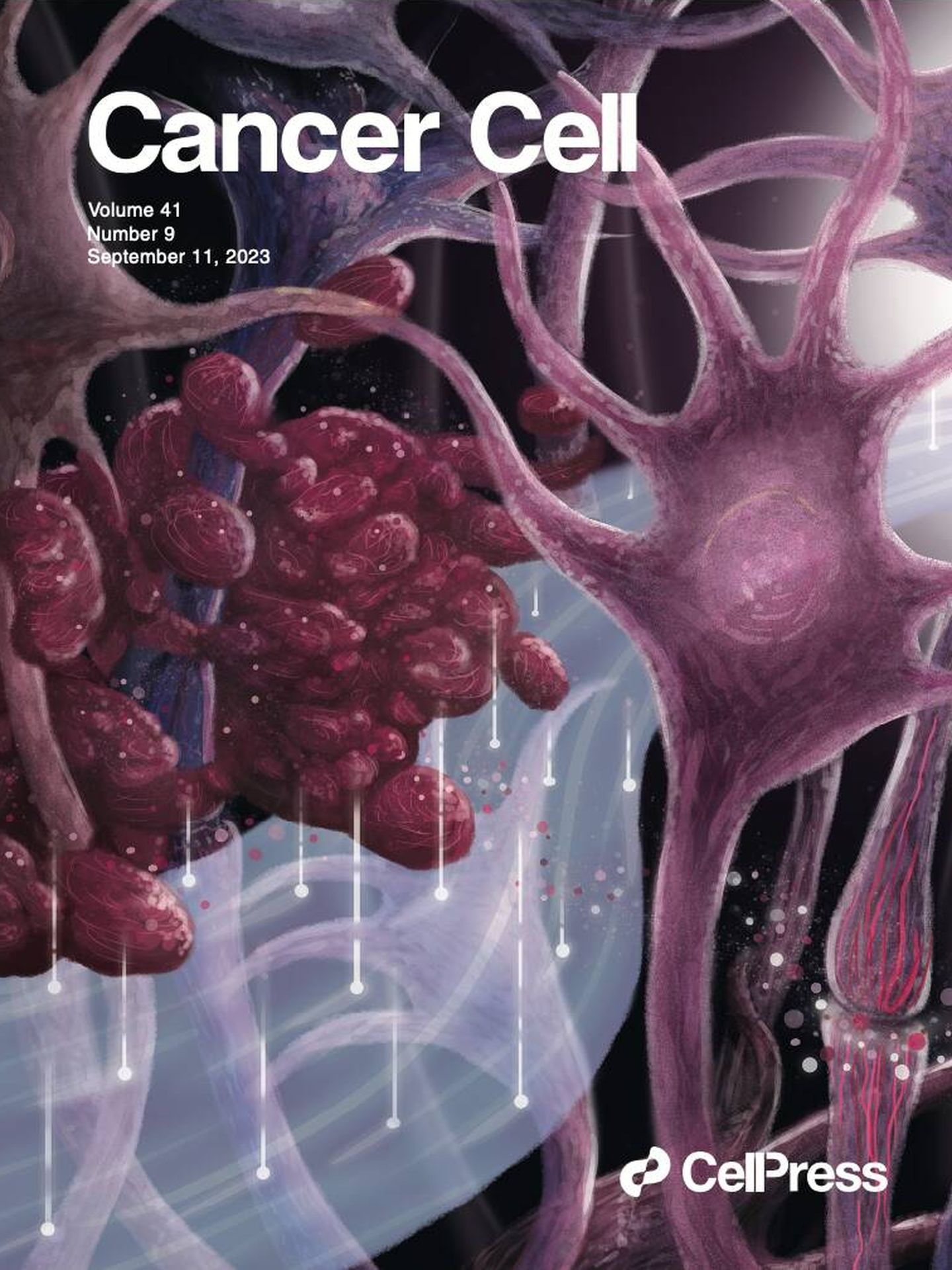 La revista 'Cancer Cell' dedica su última portada al trabajo español sobre metástasis cerebrales.