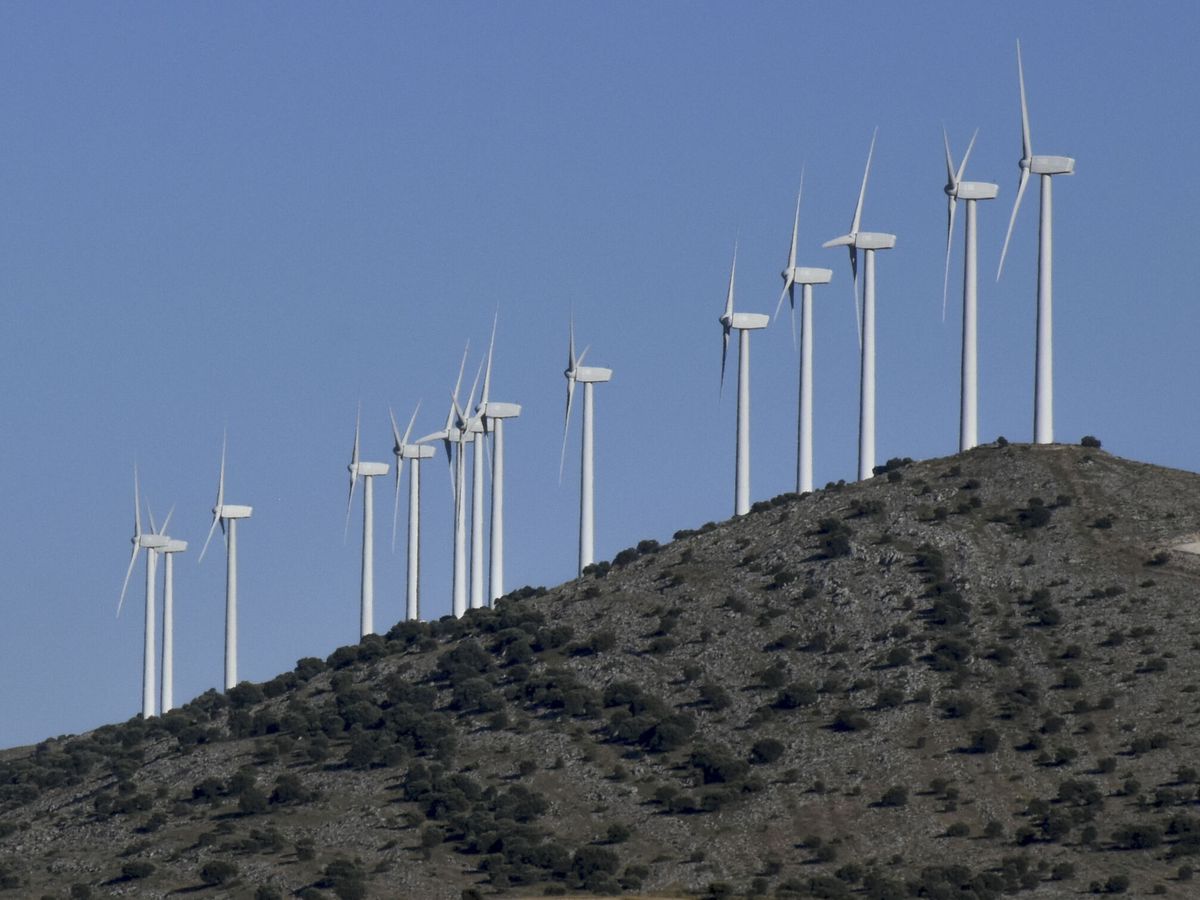 Foto: La voz de las renovables. (EFE/Javier Cebollada)