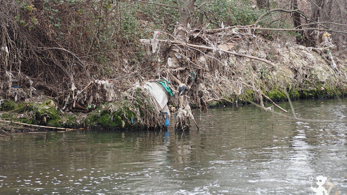 La iniciativa 'Enmienda, limpia tu mierda' se encarga de recoger la suciedad de los ríos. 