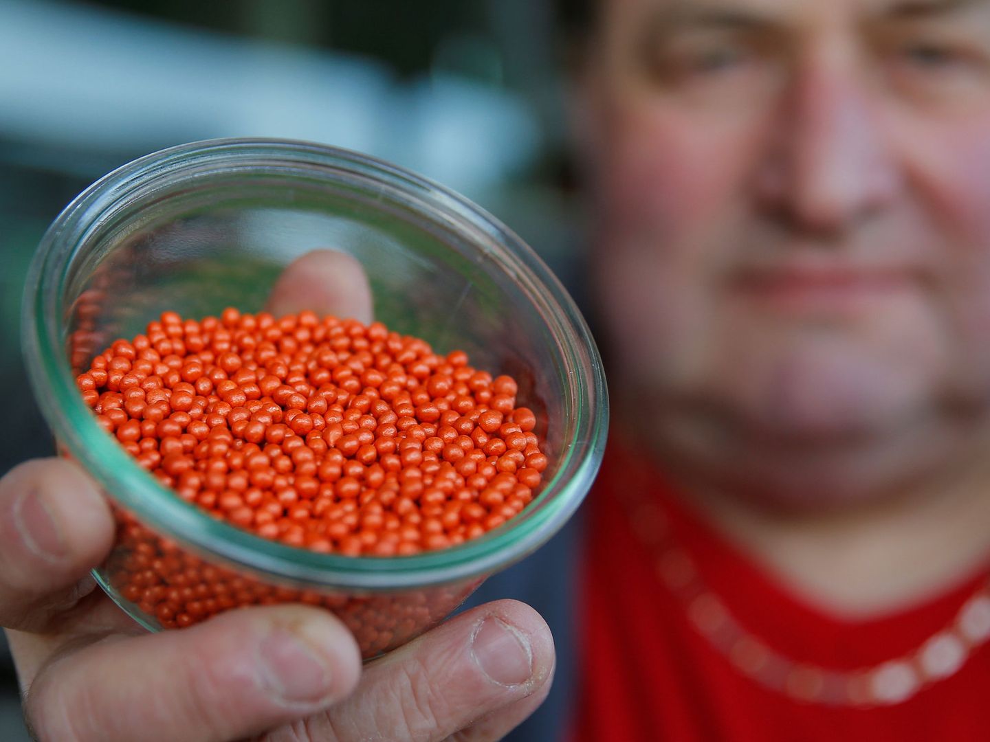 Un agricultor francés muestra semillas de remolacha cerca de Estrasburgo. (Reuters) 