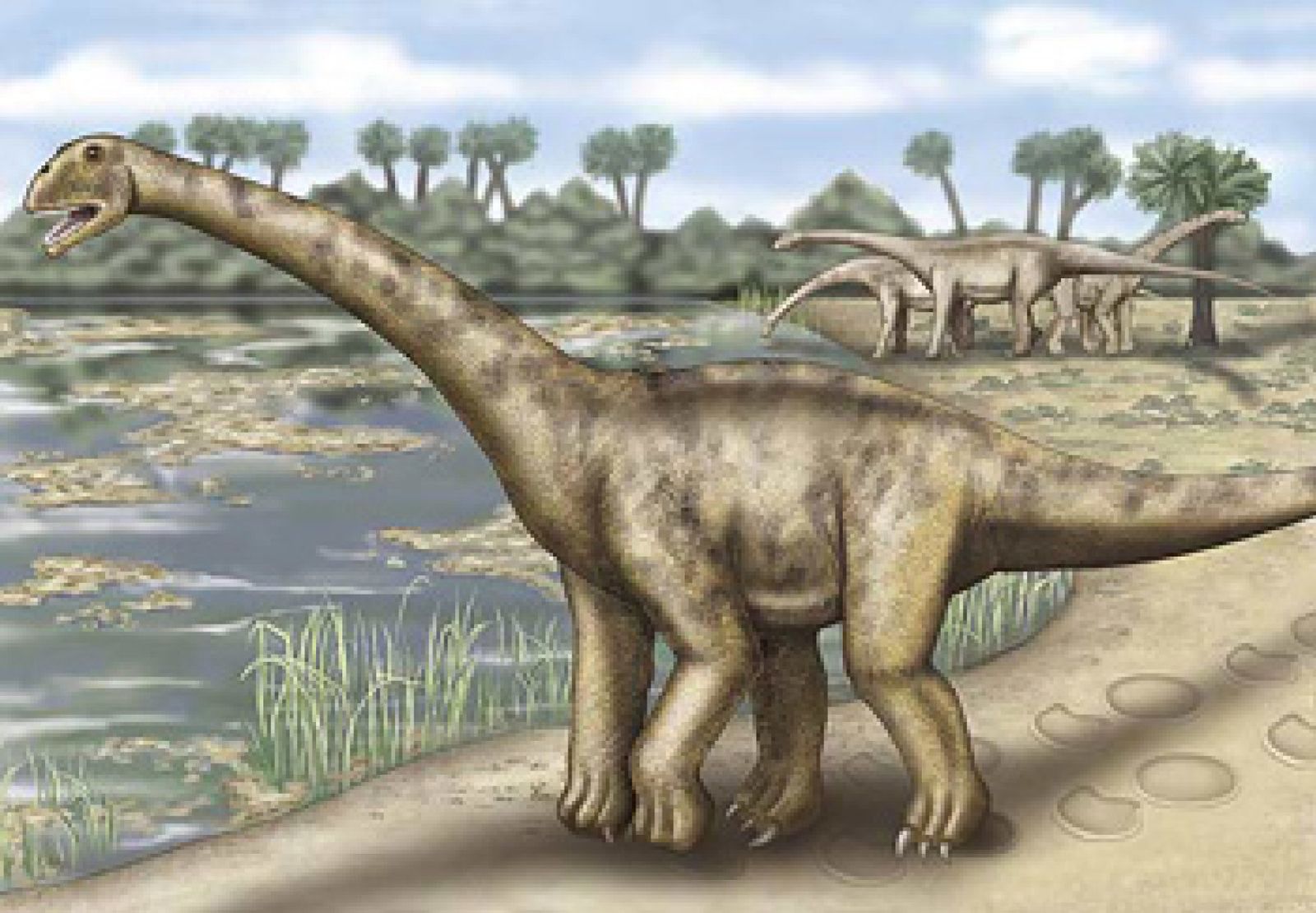 Foto: Paleontólogos trabajarán en Teruel para extraer el hueso sacro del dinosaurio más grande de Europa