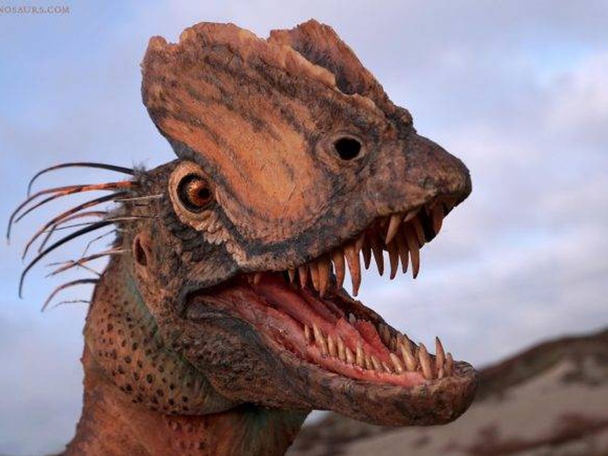Uno de los famosos dinosaurios de 'Jurassic Park' no era como nos lo han  vendido