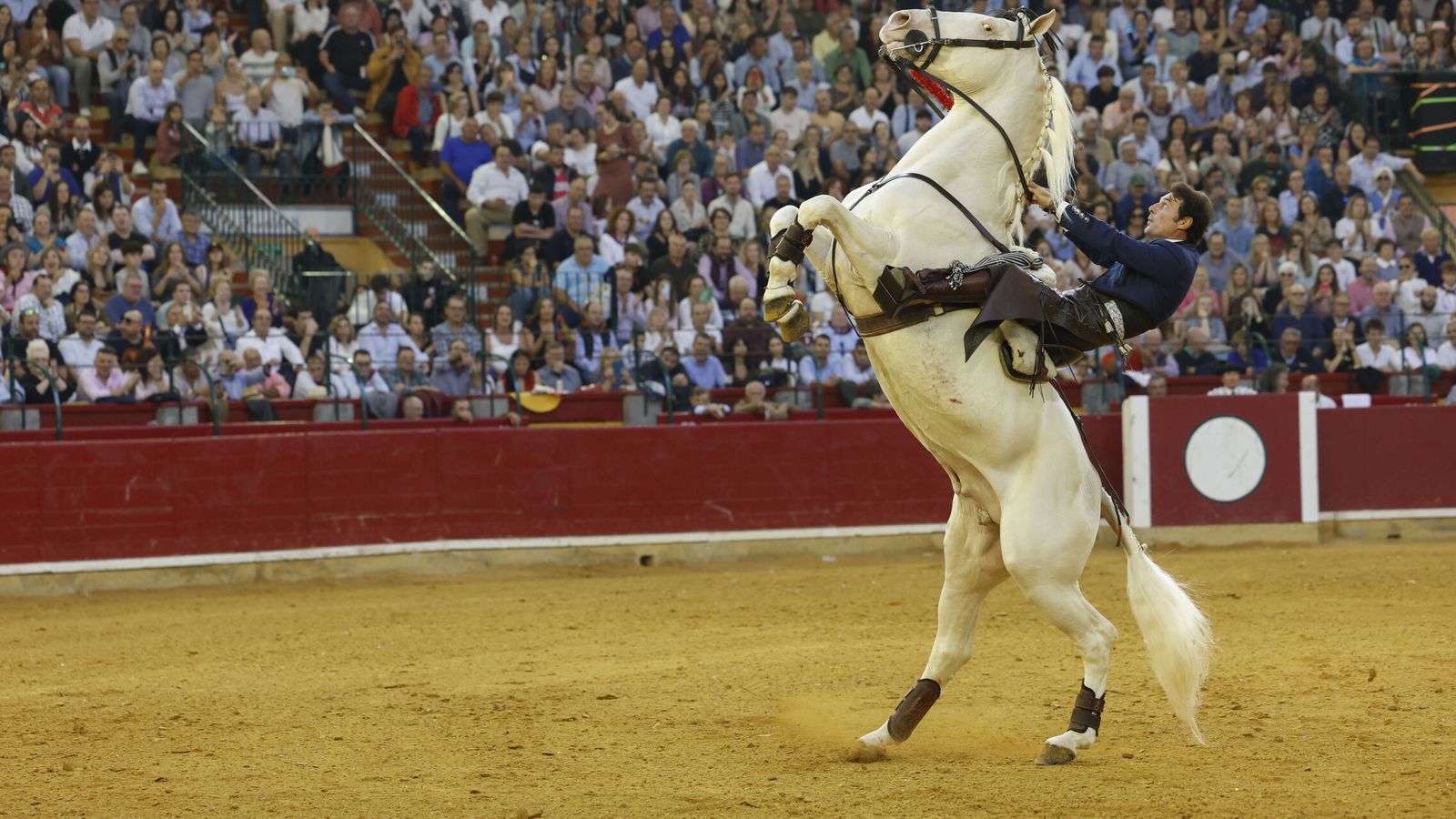 Programa completo de toros por las Fiestas del Pilar 2026: cartel de cada día, horario de las corridas y toreros