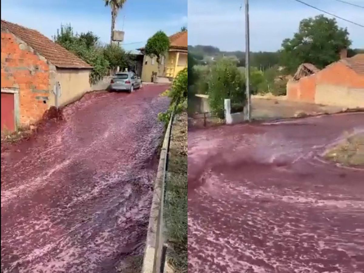 Foto: Las calles de Anadia, un pequeño municipio portugués, se veían convertidan en un río de vino tinto. (Twitter/@@AweInspireMe)