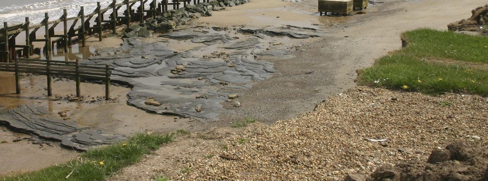 Yacimiento en una playa de Norfolk donde se encontraron varias huellas de 'homo-antecessor' hace unos meses (EFE)
