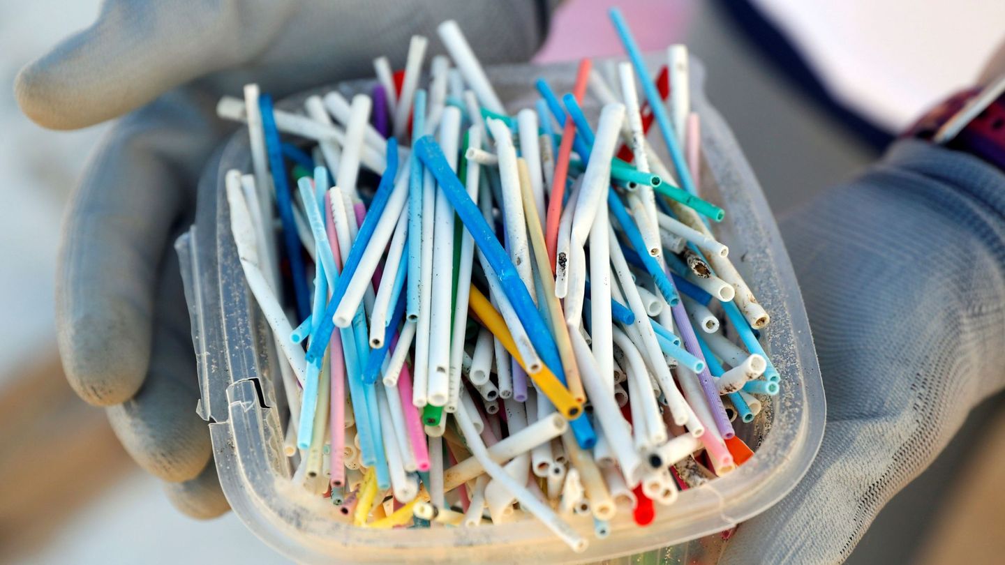 Los residuos de plástico de un solo uso son los más abundantes (EFE)