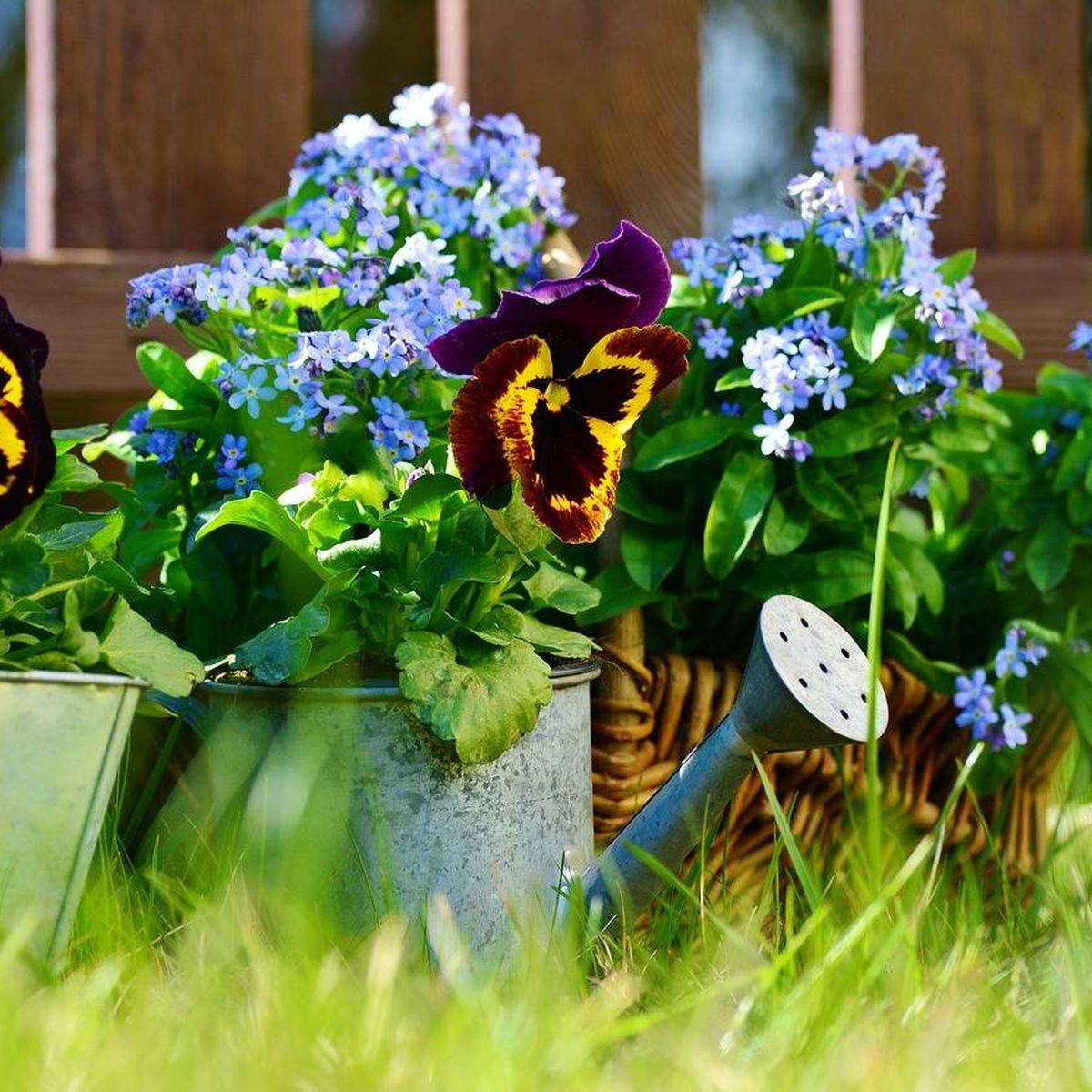 Jardineras exterior Grandes, Compra Todo para tu Jardín