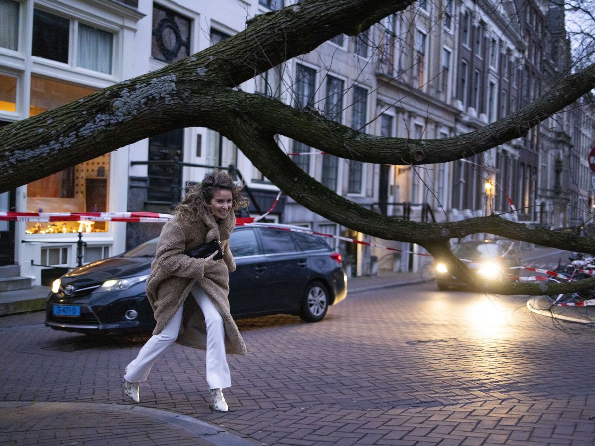 Foto:  Una mujer cruza bajo un árbol caído por la tormenta Eunice en el centro de Ámsterdam. (EFE)