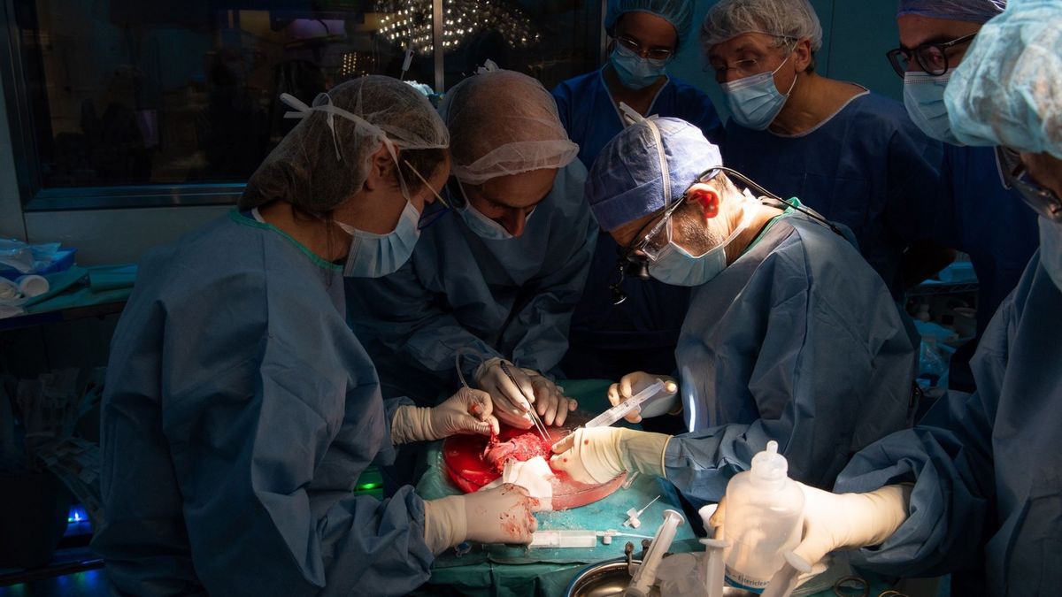 El hito del Clínic: hace el primer trasplante de útero de una donante viva en España