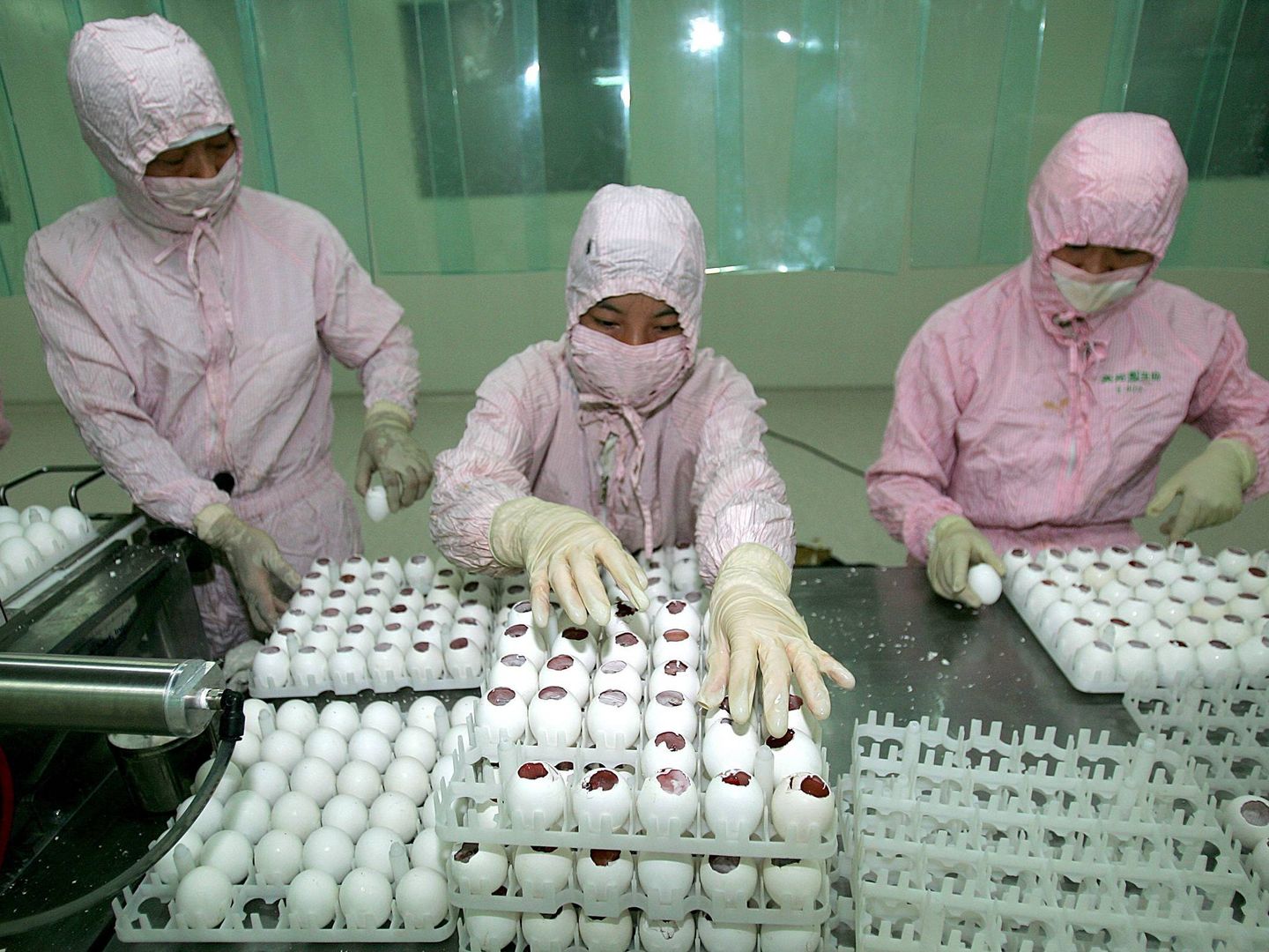 Trabajadores de una compañía farmaceútica china trabajan con embriones de gallina infectados con el virus H1N1 en 2009. (EFE)