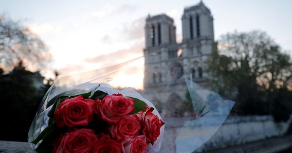 Foto: Ramo de rosas frente a los restos de Notre-Dame. (Reuters)