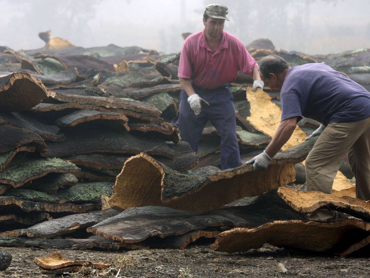 Foto: La industria del corcho genera miles de empleos en el campo. (EFE/C. García) 