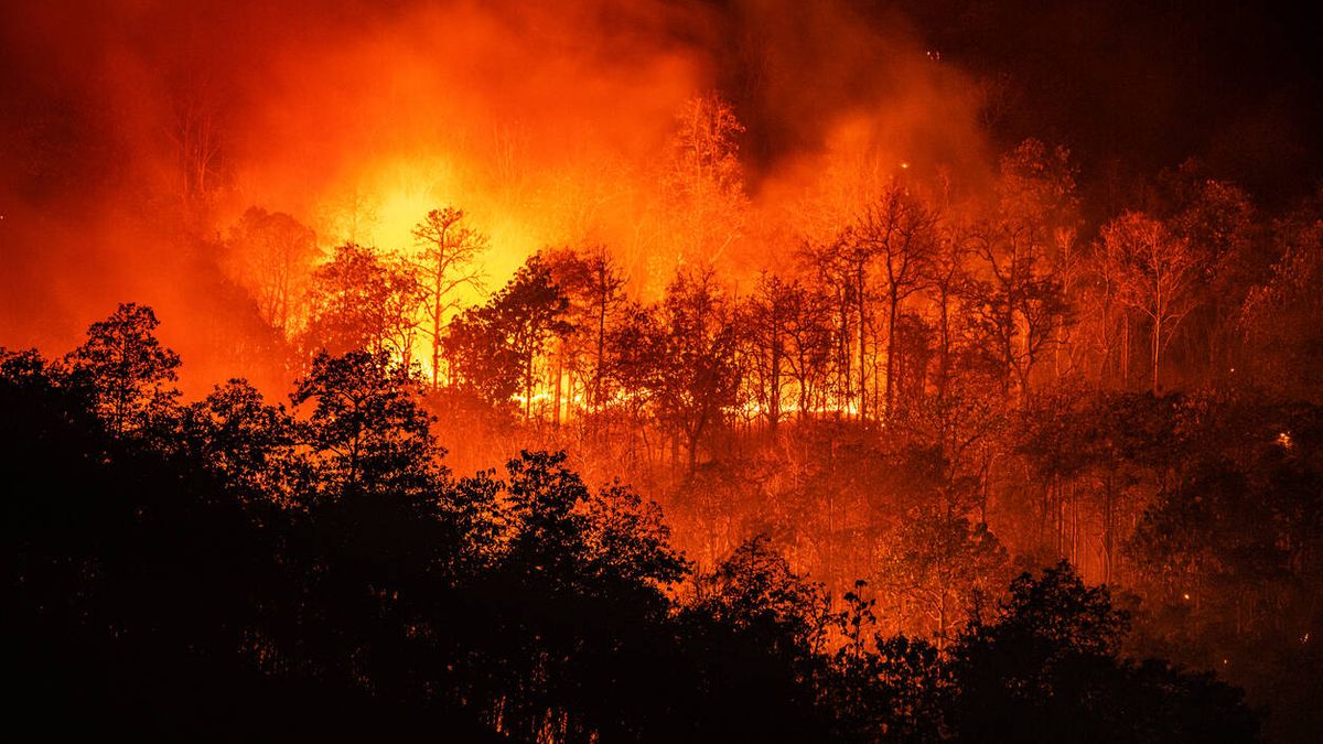 El cambio climático está agravando el riesgo de incendios en Europa