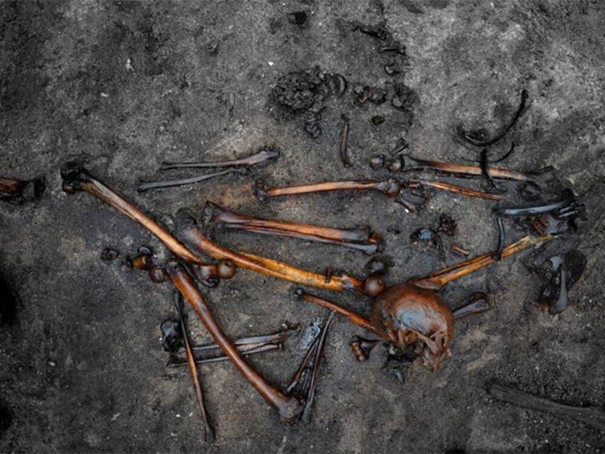 Foto: Los cuerpos de los pantanos de Europa revelan la atroz vida prehistórica (Roy van Beek)
