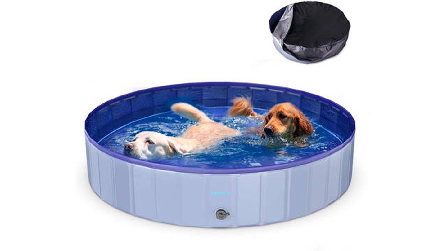 Las piscinas para perros y pequeños