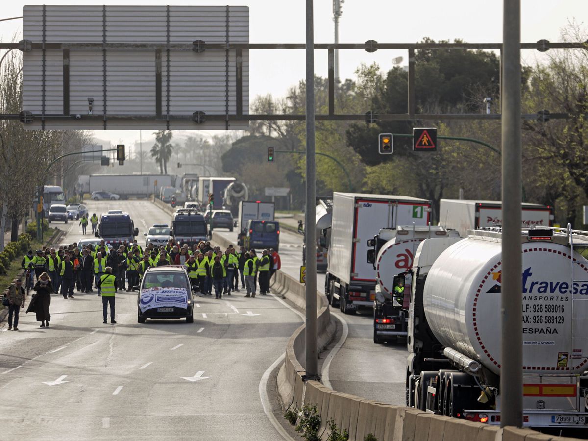 Foto: Huelga de transportistas. (EFE/Quique García)