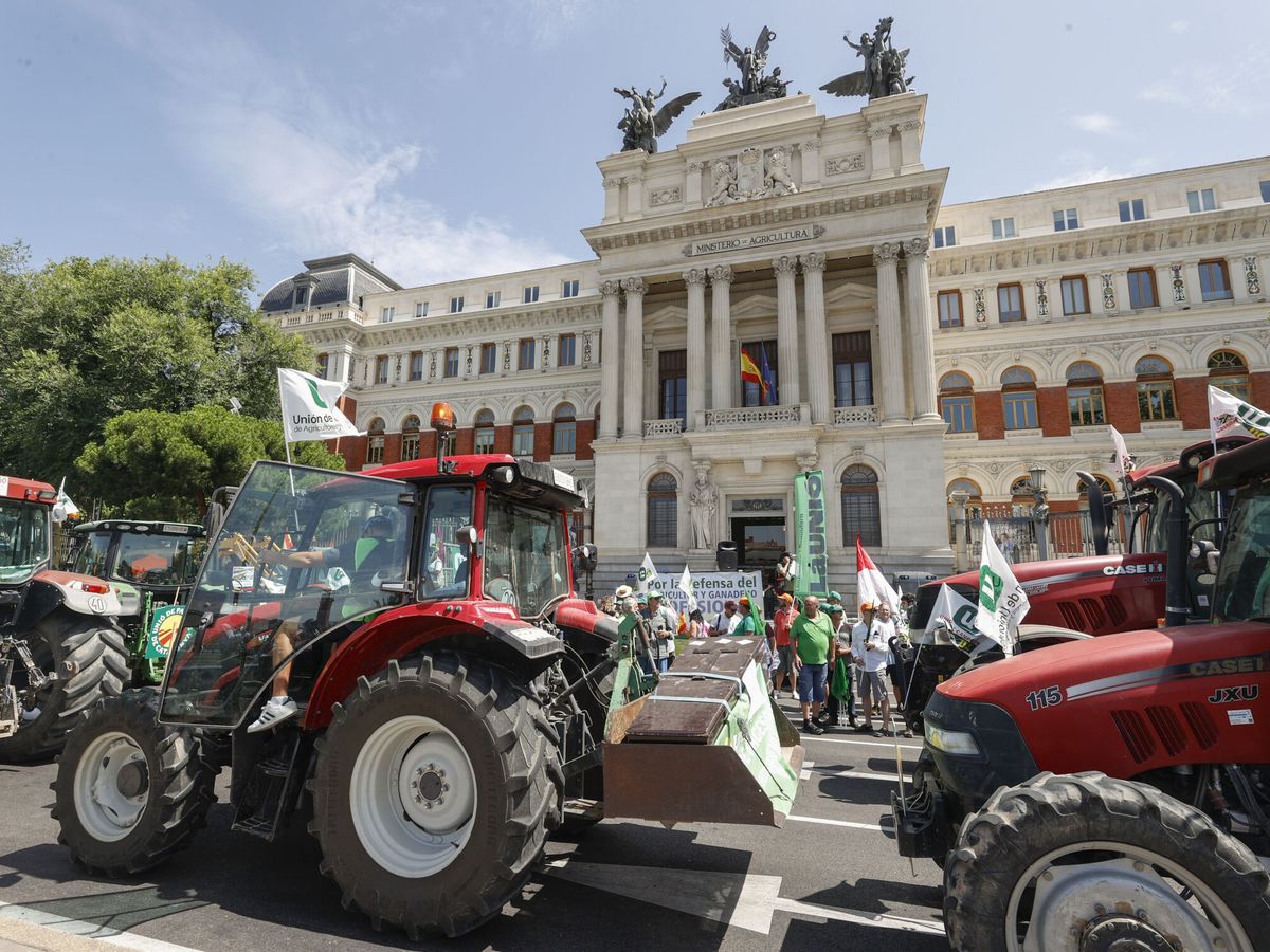 Foto: Protesta de agricultores frente al Ministerio de Agricultura. (EFE/Javier Lizón)