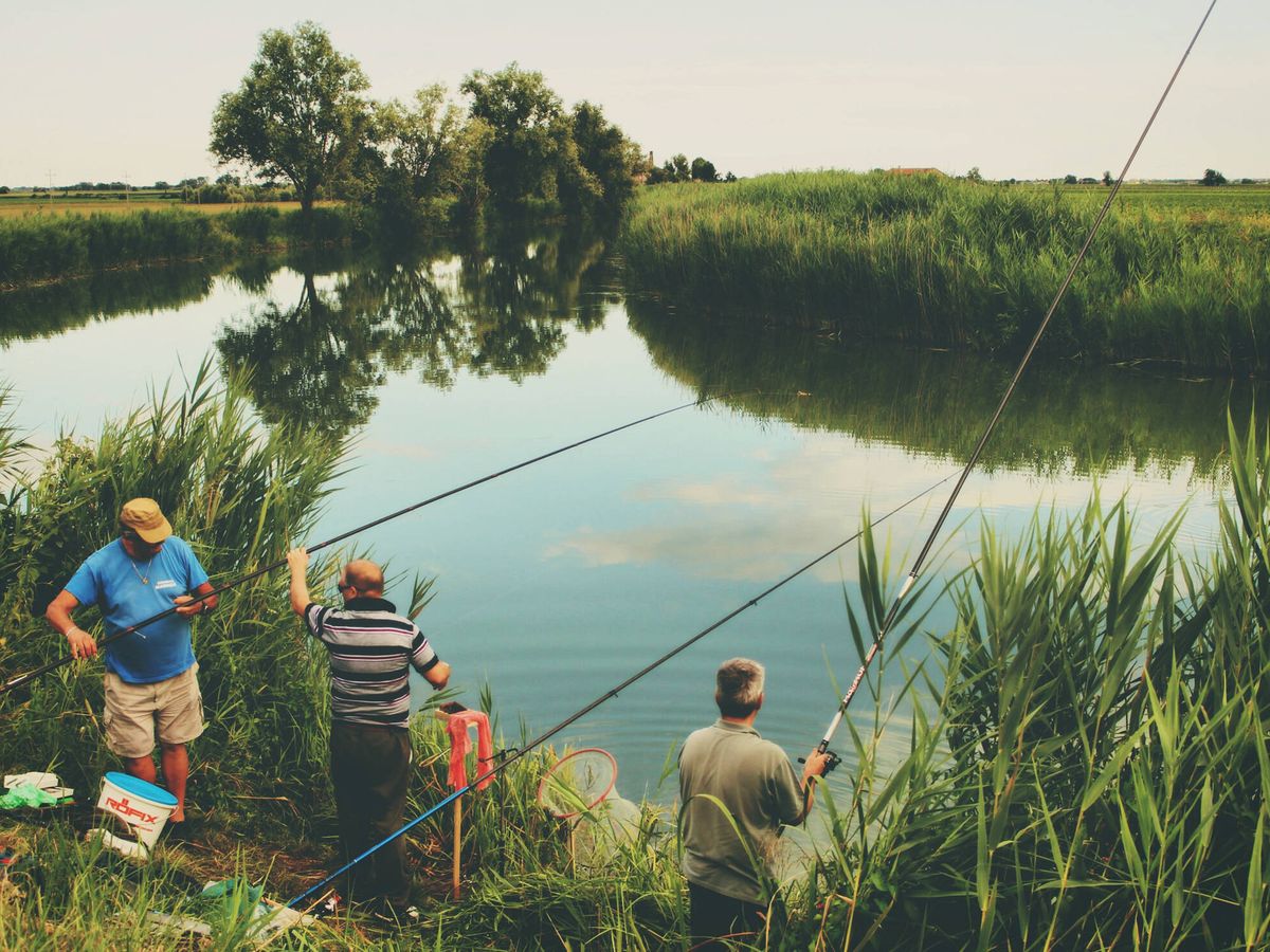 Cañas de pescar para auténticos pescadores profesionales de río y mar