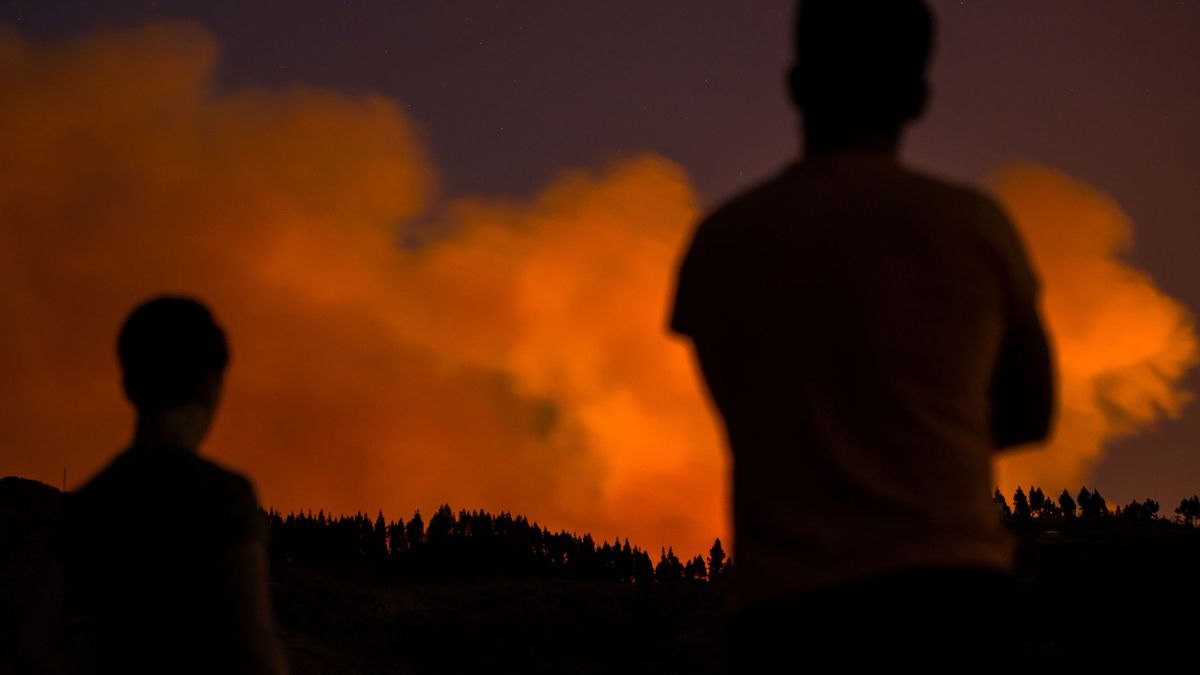 "Canarias está de luto": el fuego remite pero los vecinos ya han perdido su medio de vida