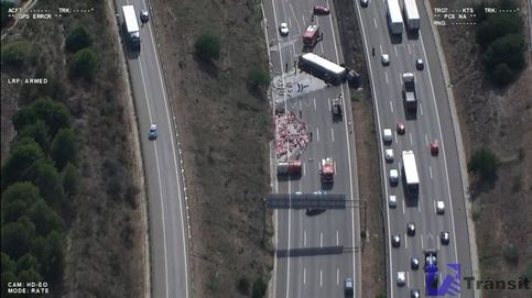 Noticia de Un accidente de un camión cargado con cerdos provoca 14 km de cola en la AP-7 en Barcelona
