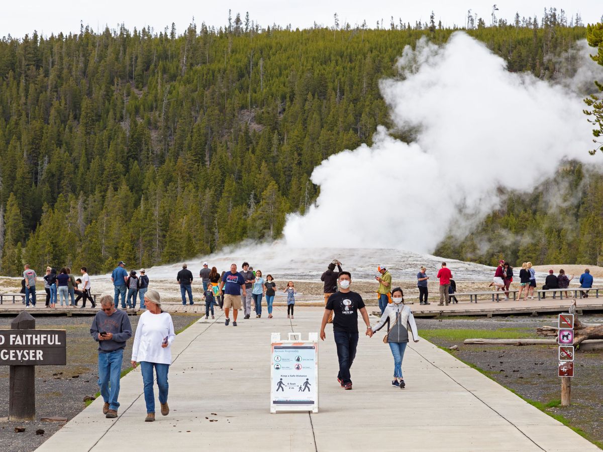 Foto: Parque Nacional de Yellowstone (Frank Handout/Reuters)