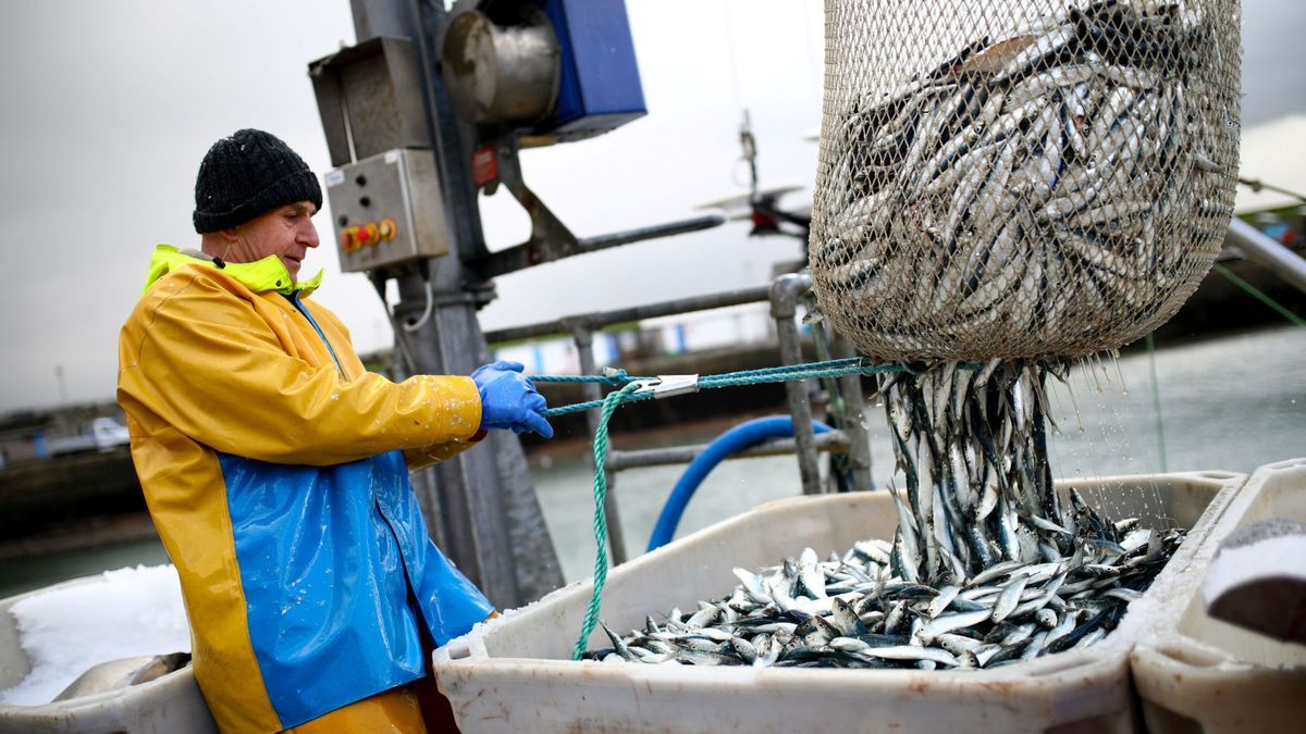 La UE limita la pesca de arrastre para proteger la biodiversidad de los fondos marinos