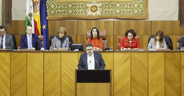 Foto: El portavoz de Vox en el Parlamento de Andalucía, Francisco Serrano. (EFE)