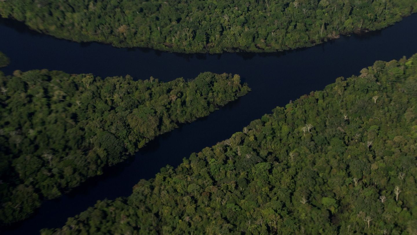 Los recursos naturales de la Amazonia sustentarían una criptomoneda estable  (EFE/J.Alves)