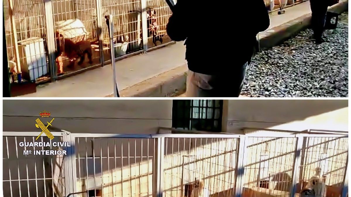 Detenidos por cortar las cuerdas vocales a los perros en un criadero de Granada