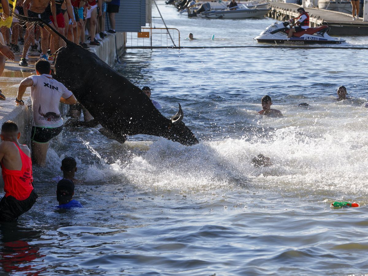 Foto: Celebración de 'bous a la mar' en Denia. (EFE/Natxo Frances)