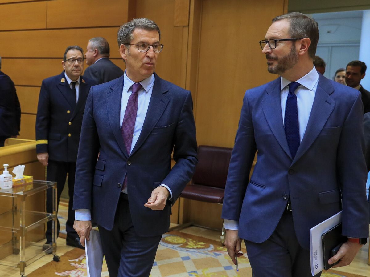 Foto: El líder del PP, Alberto Núñez Feijóo, y el portavoz del PP en el Senado, Javier Maroto. (EFE/Fernando Alvarado)