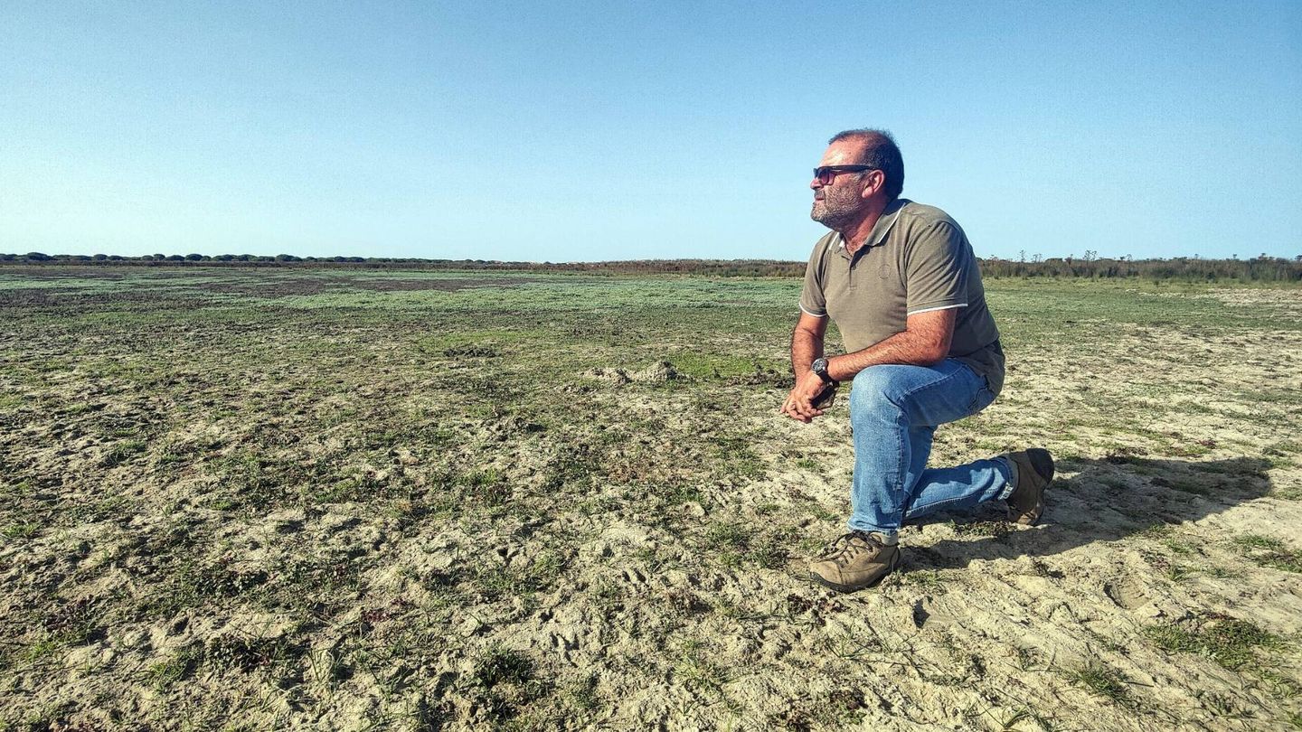 El director del Parque Nacional de Doñana, en una laguna. (EFE)