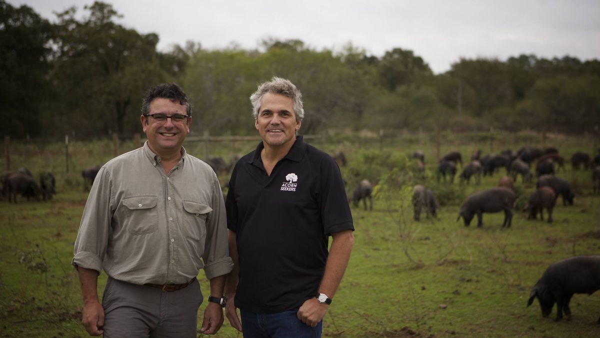 Los cerdos voladores de un catalán y un andaluz: jamón ibérico 'made in' Texas