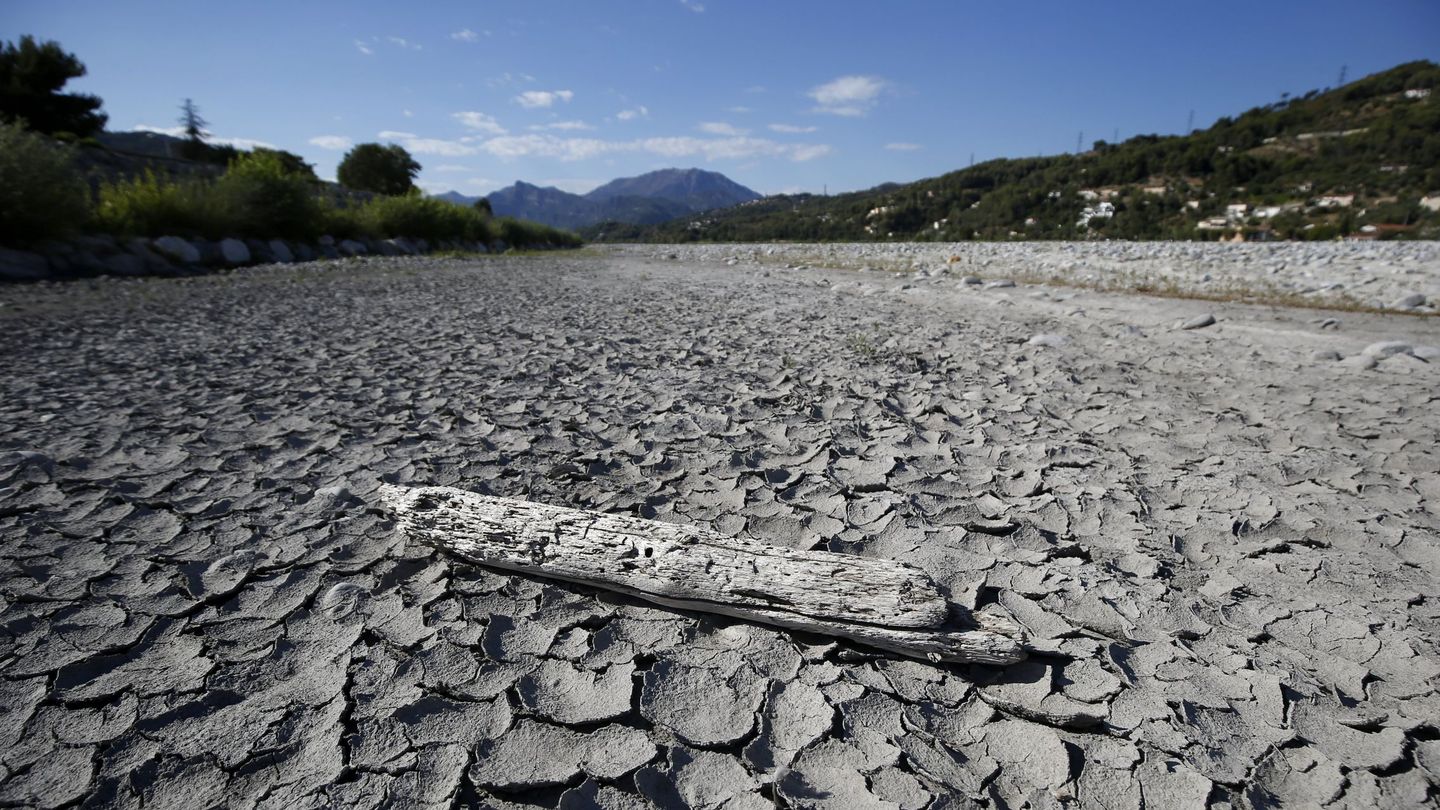 Francia sufre la peor sequía de su historia. (EFE/Sebastien Nogier)