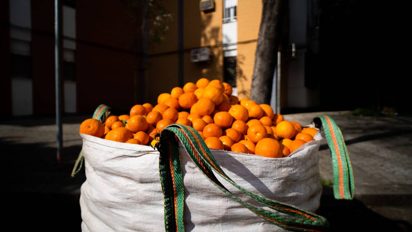 Un saco con naranjas en plena avenida de la barriada. (Fernando Ruso)